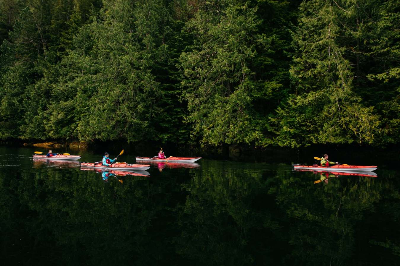 Wilderness kayaking - Nimmo Bay