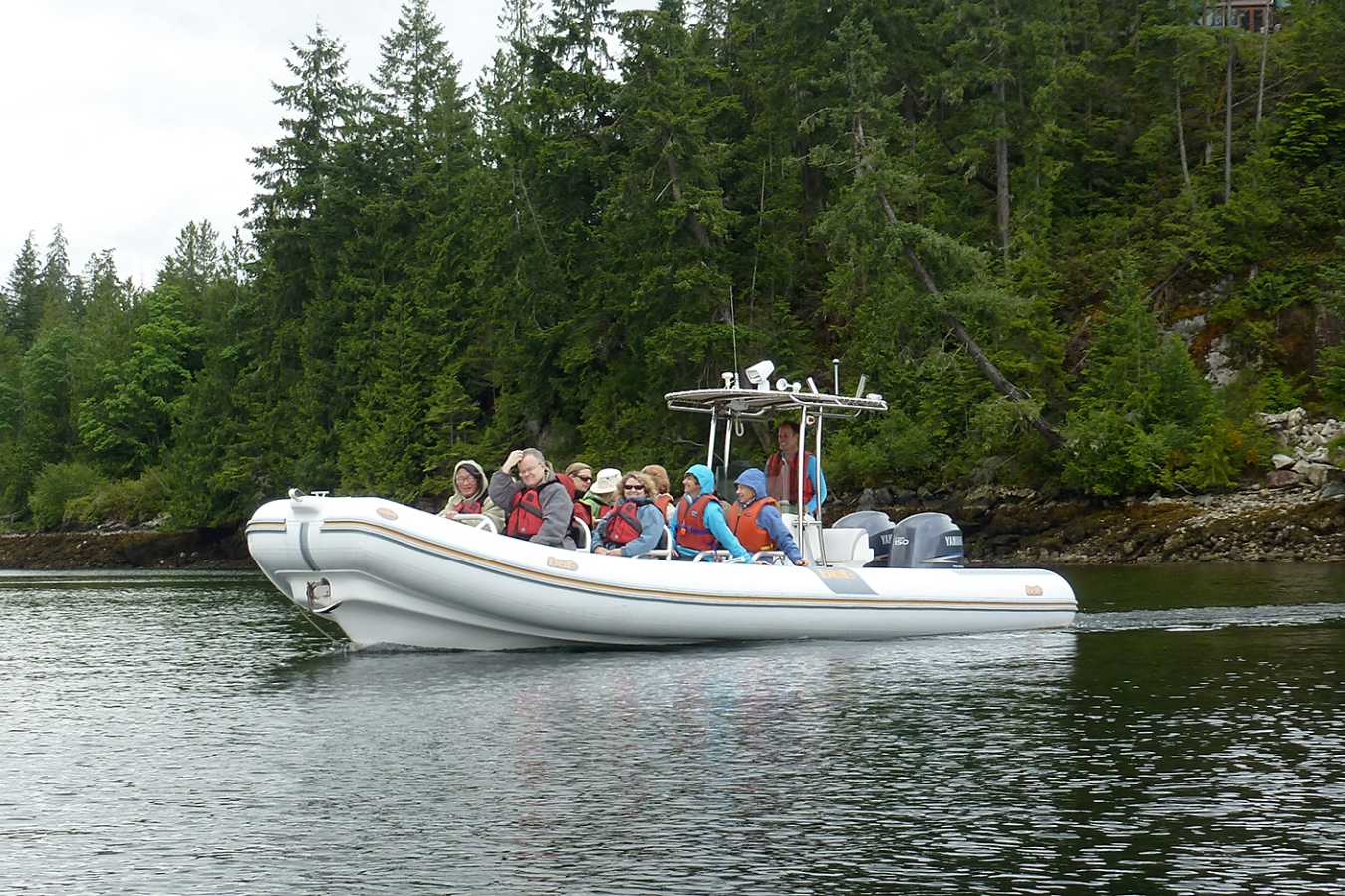 Zodiac  - West Coast Wilderness Lodge