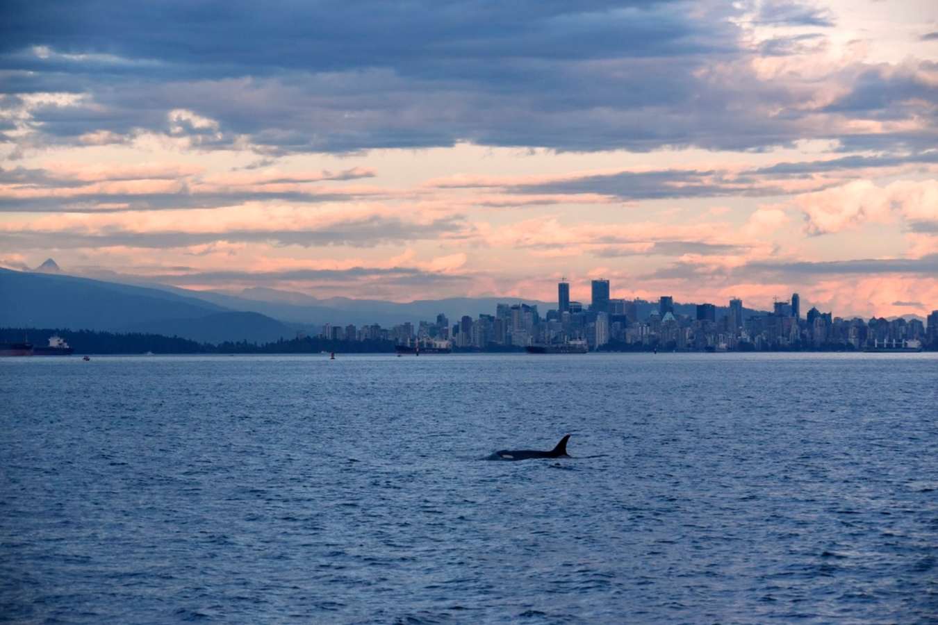 Vancouver - British Columbia with Kids