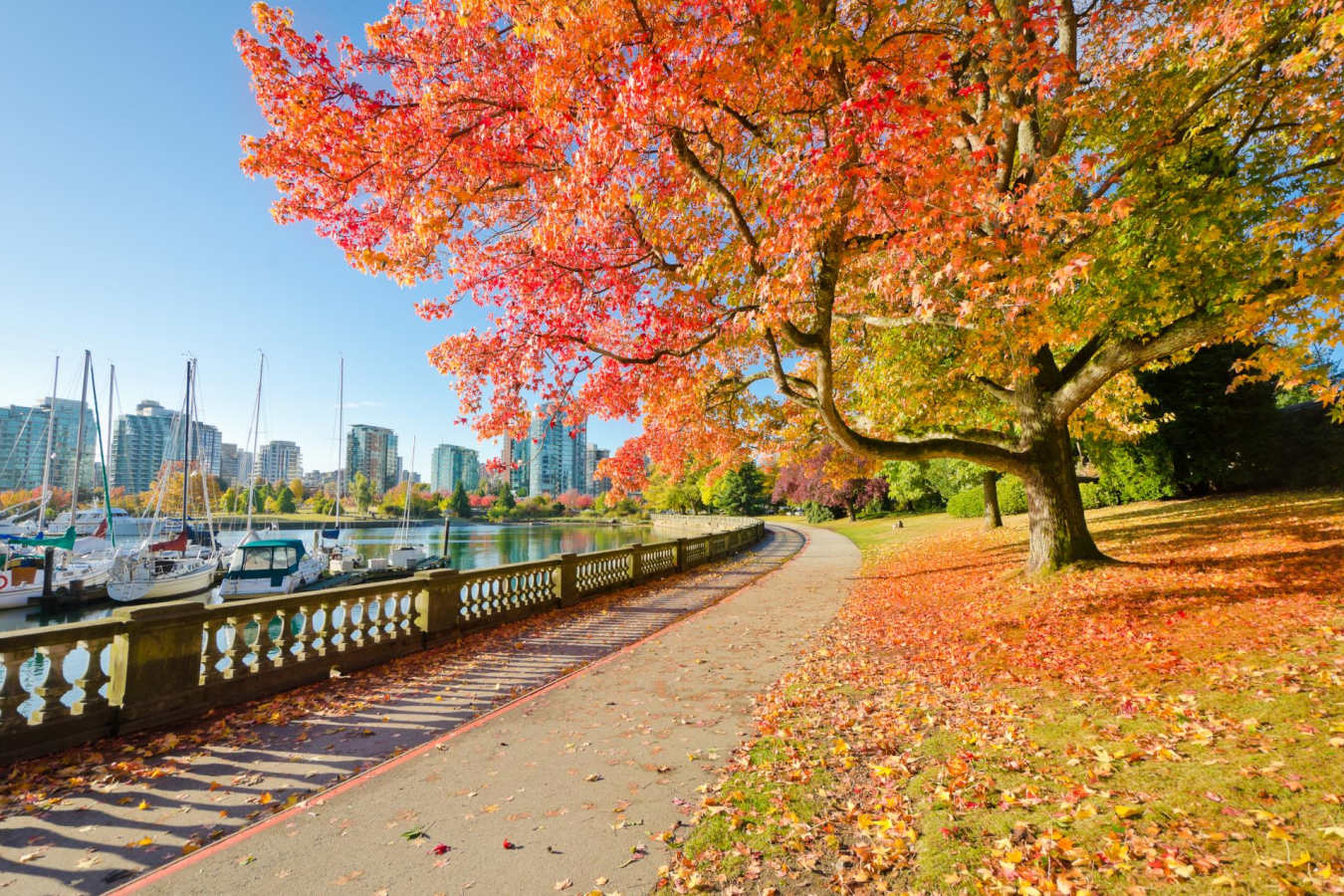 Stanley Park Vancouver - Pacific Coast & Canada by Rocky Mountaineer