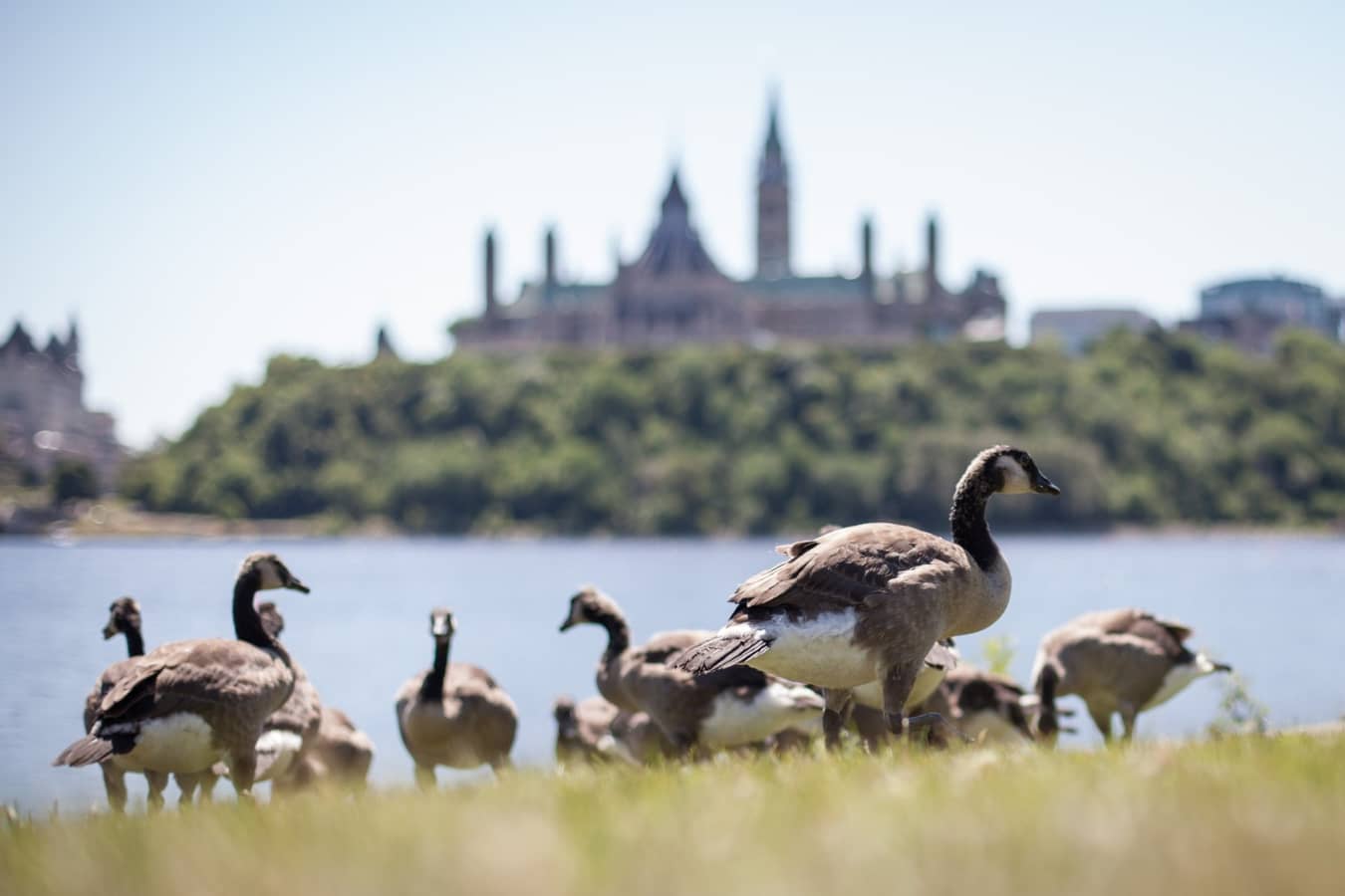 Ottawa - Gourmet Ontario and Quebec