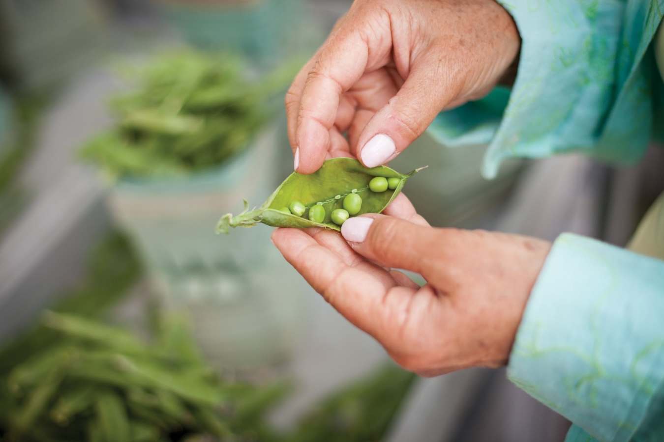 Local Produce - Gourmet Ontario and Quebec