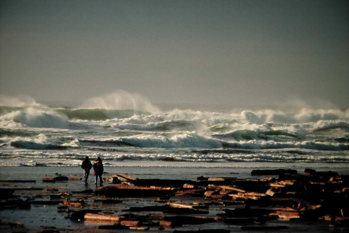 Wild Tofino - West Coast Canada In Style