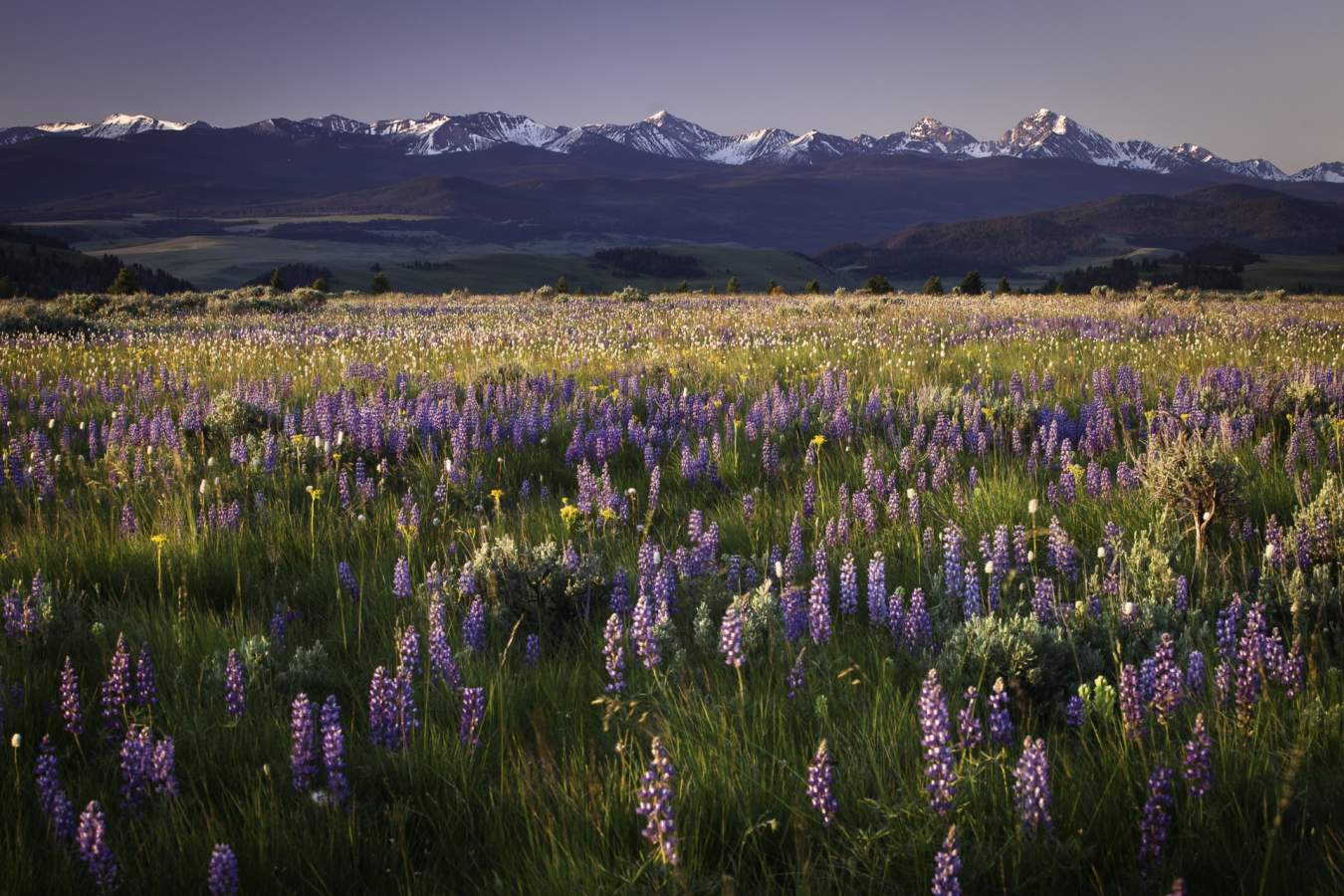 Scenery in Montana - Ultimate Western Canada and M