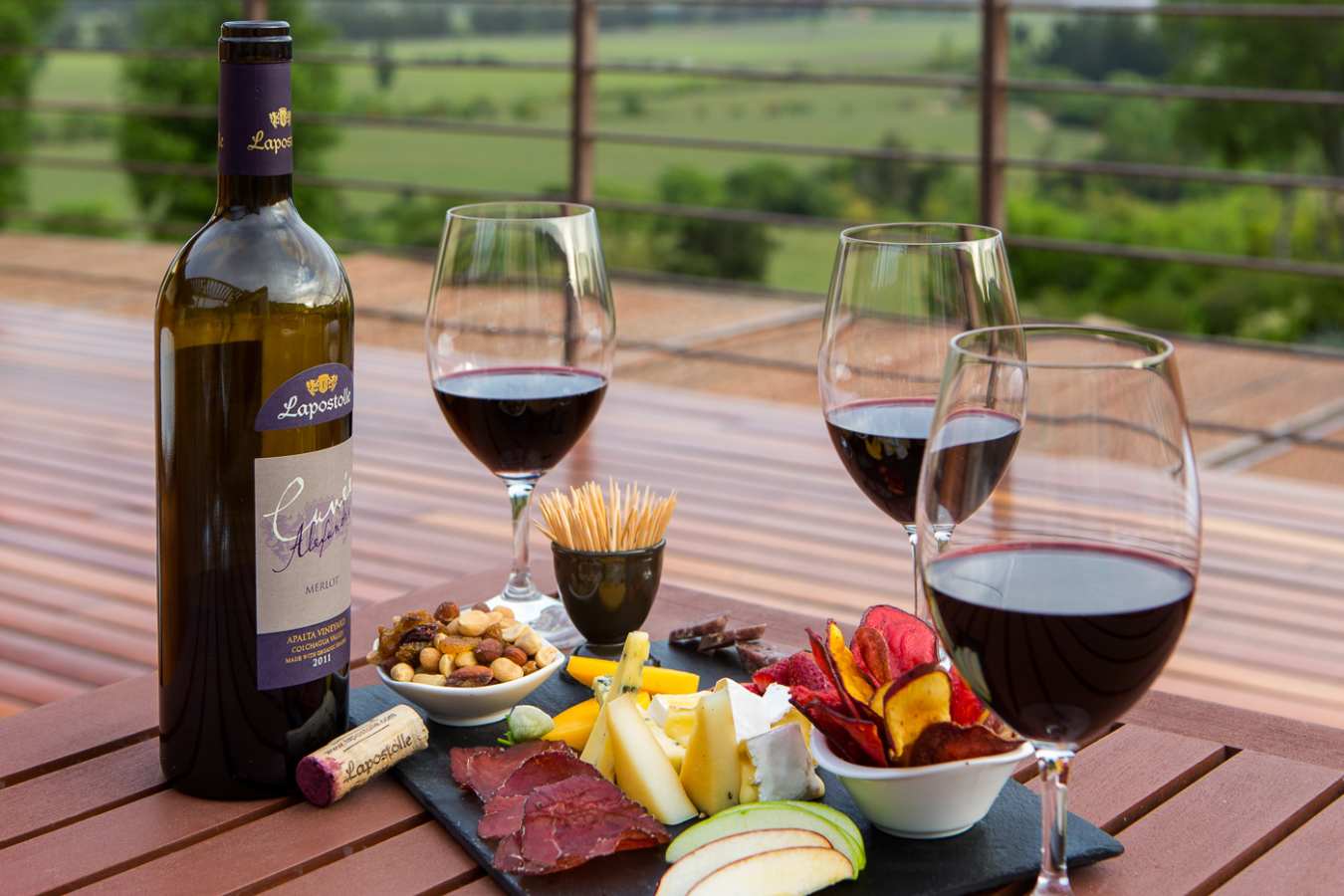 Lapostolle wine tasting - Clos Apalta Residence