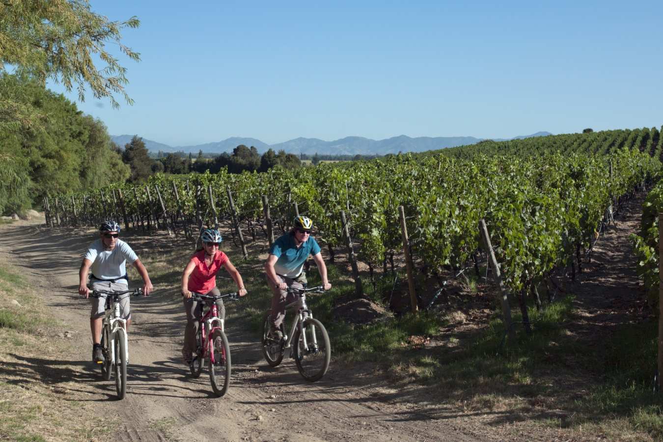 Cycling through the vineyards - Clos Apalta Residence