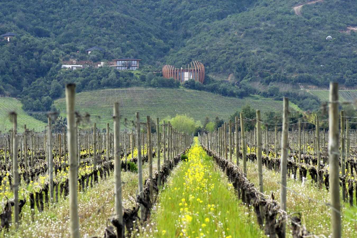 Vineyards and the Bodega - Clos Apalta Residence