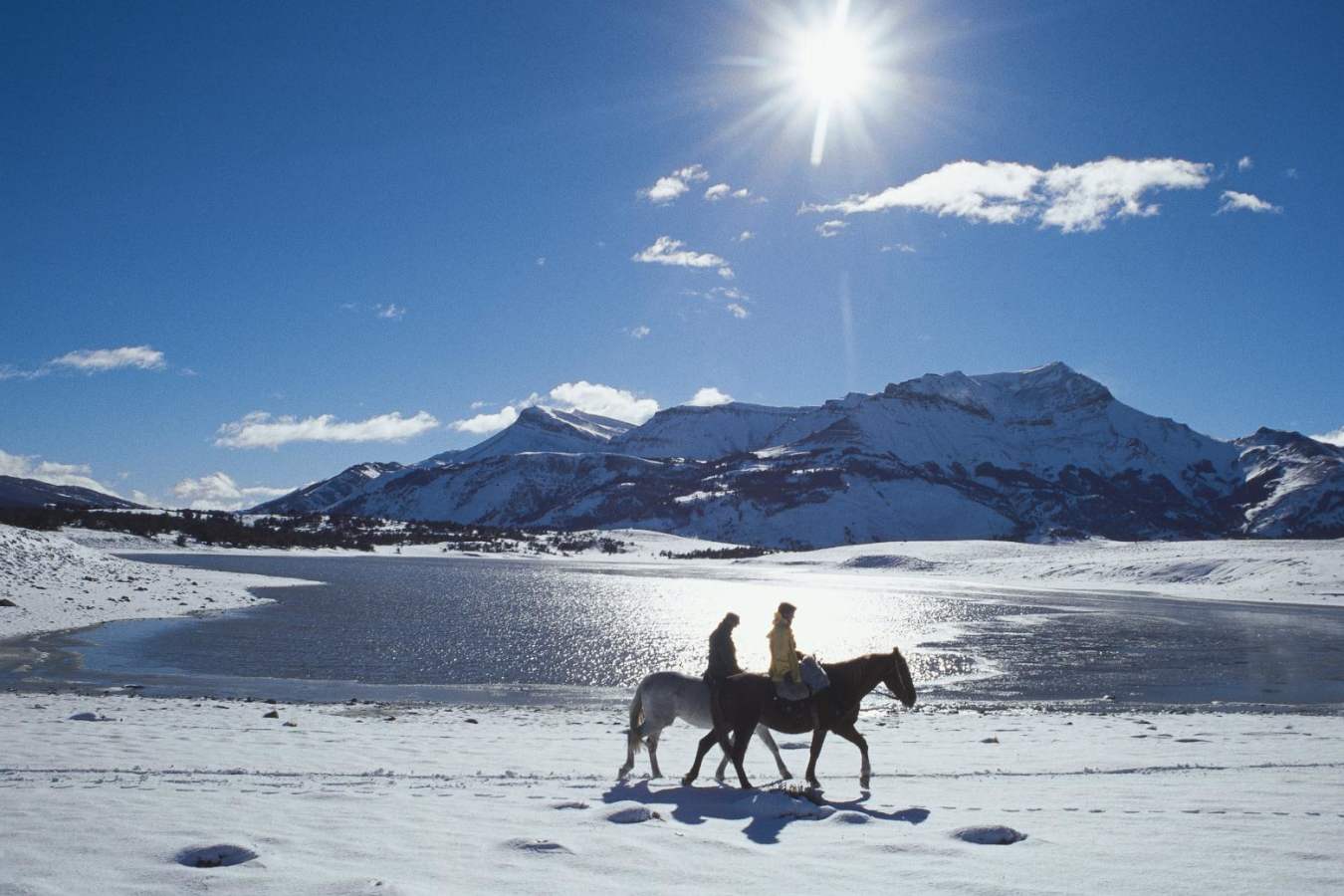 Horse Riding at Explora 