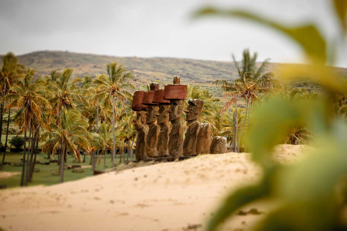 Easter Island landscape