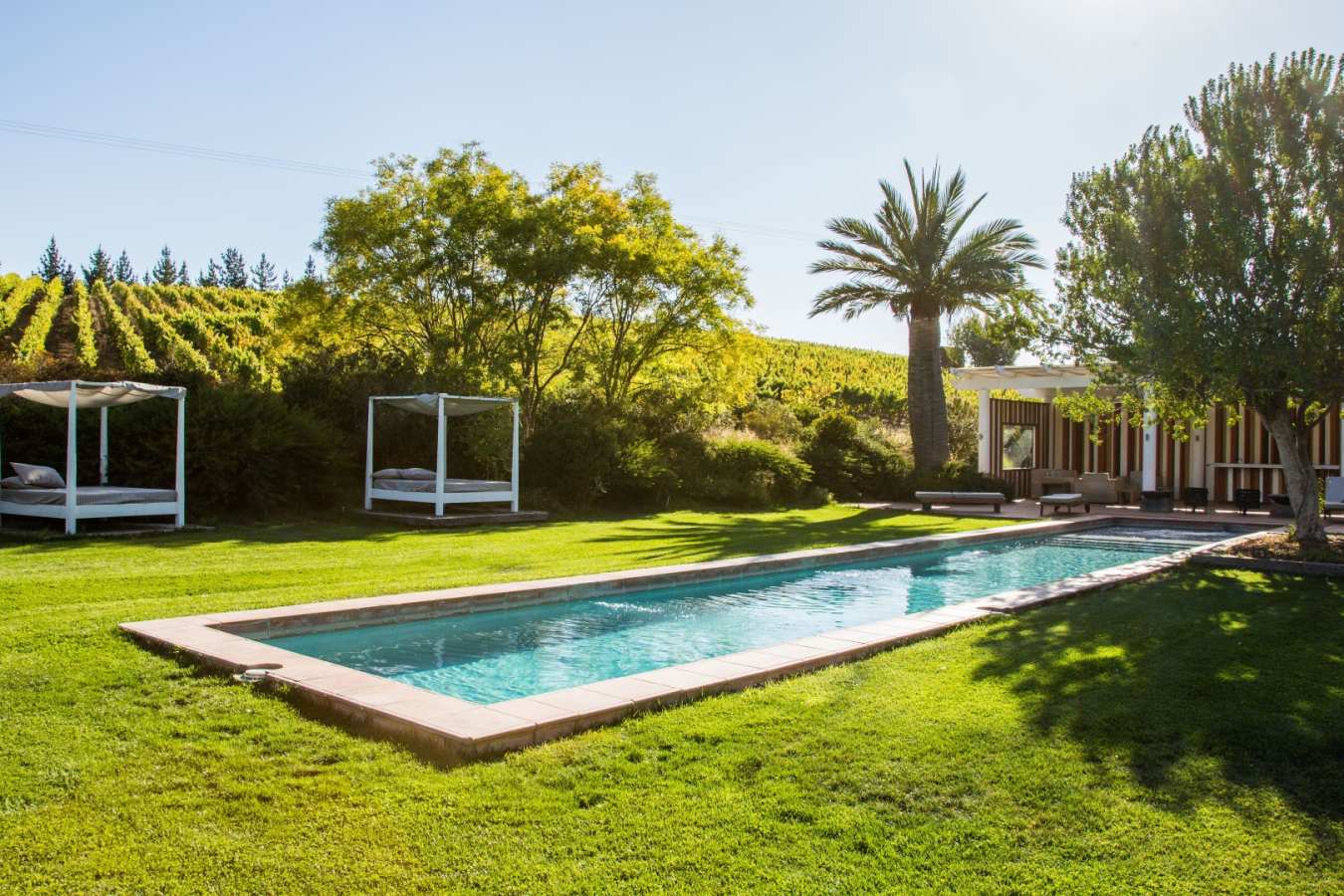 Pool - La Casona at Matetic Vineyards