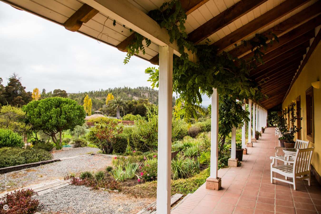 Gardens - La Casona at Matetic Vineyards
