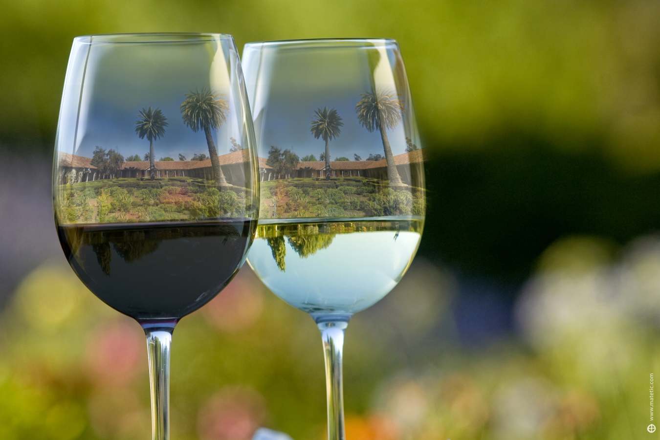 Wine glasses - La Casona at Matetic Vineyards