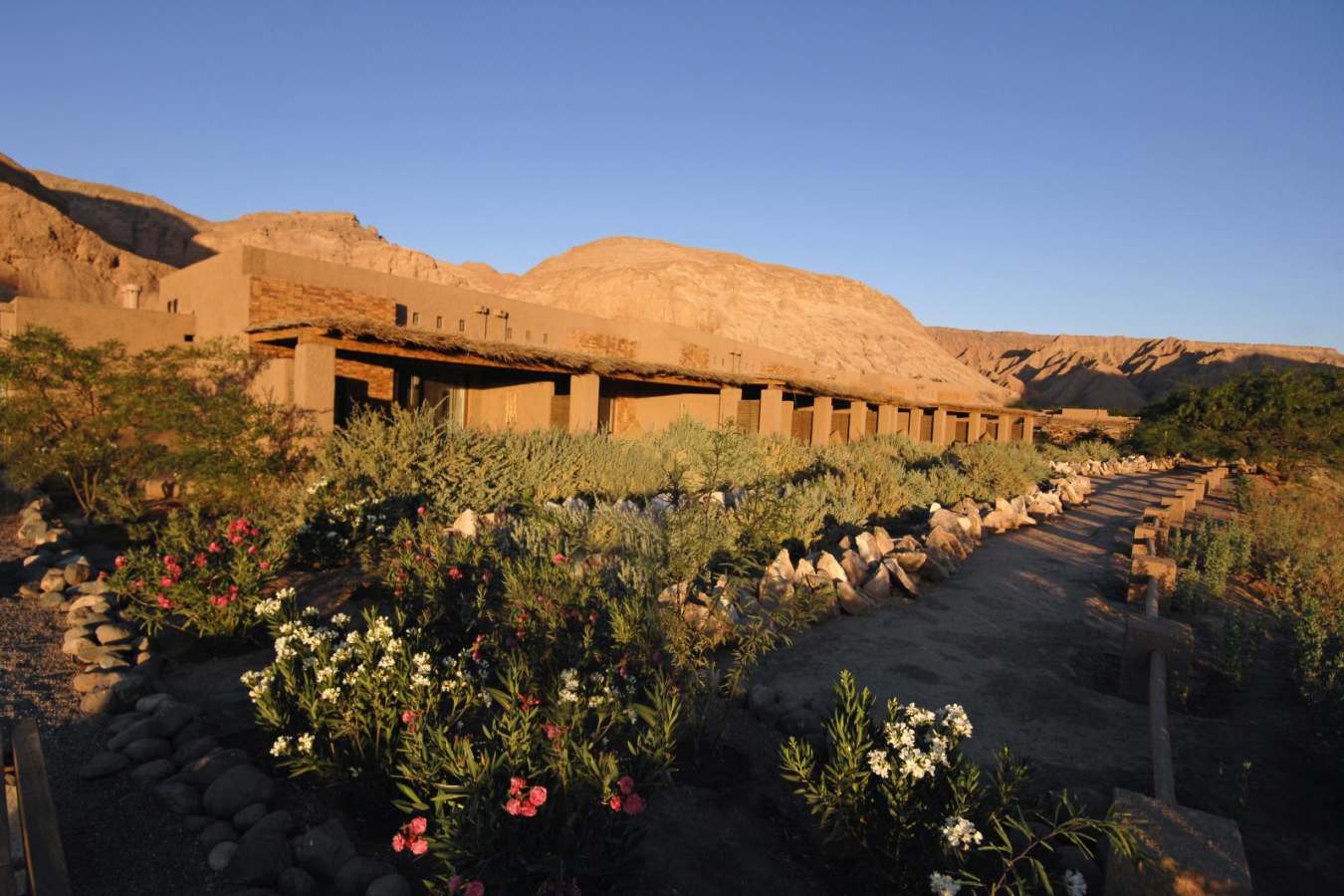 Gardens - Alto Atacama Desert Lodge & Spa