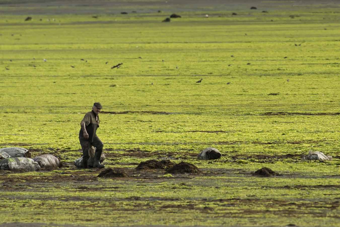 Local life - Tierra Chiloe 