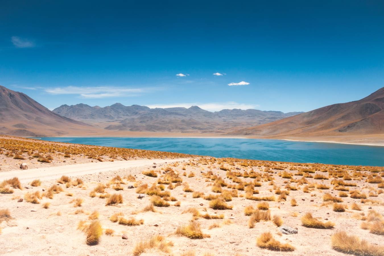 Altiplanic lagoons of the Atacama