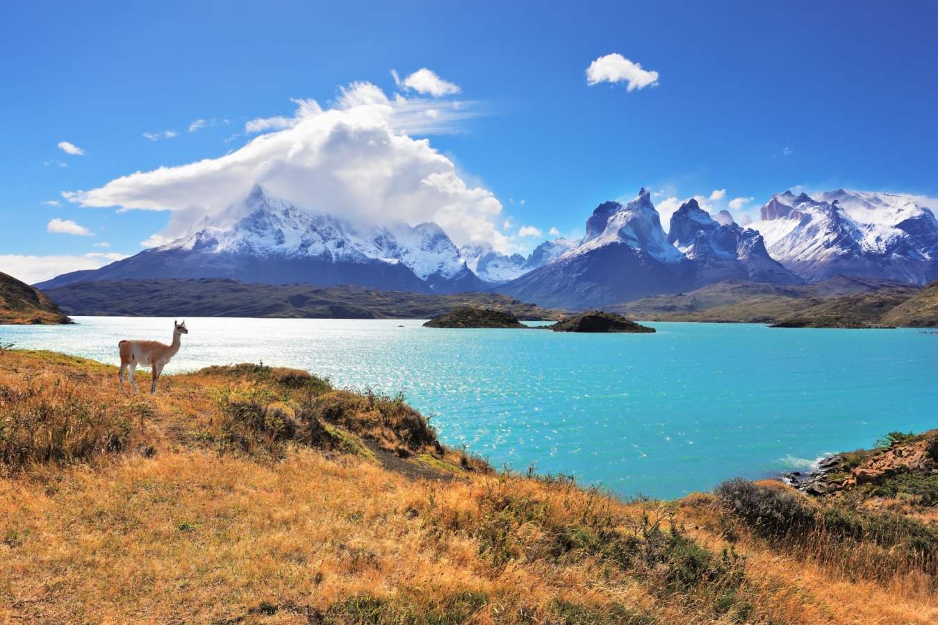 Torres del Paine