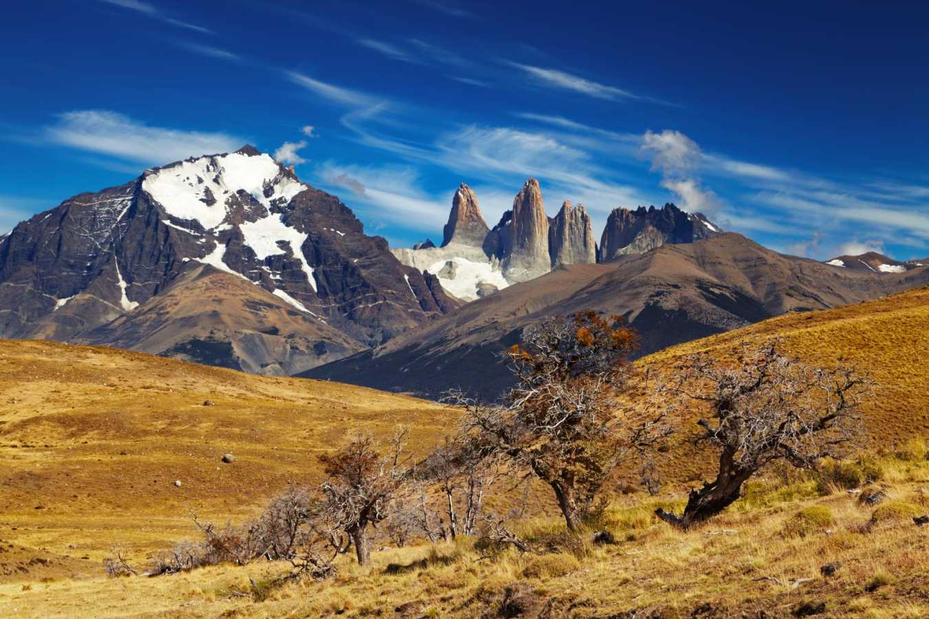 Ultimate Chile