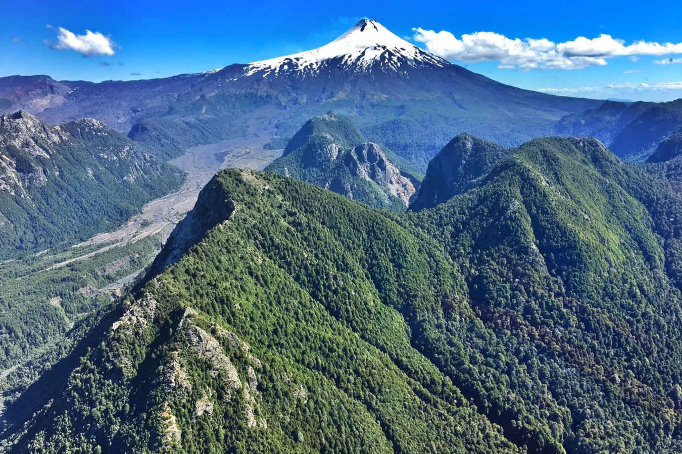 Ultimate Chile