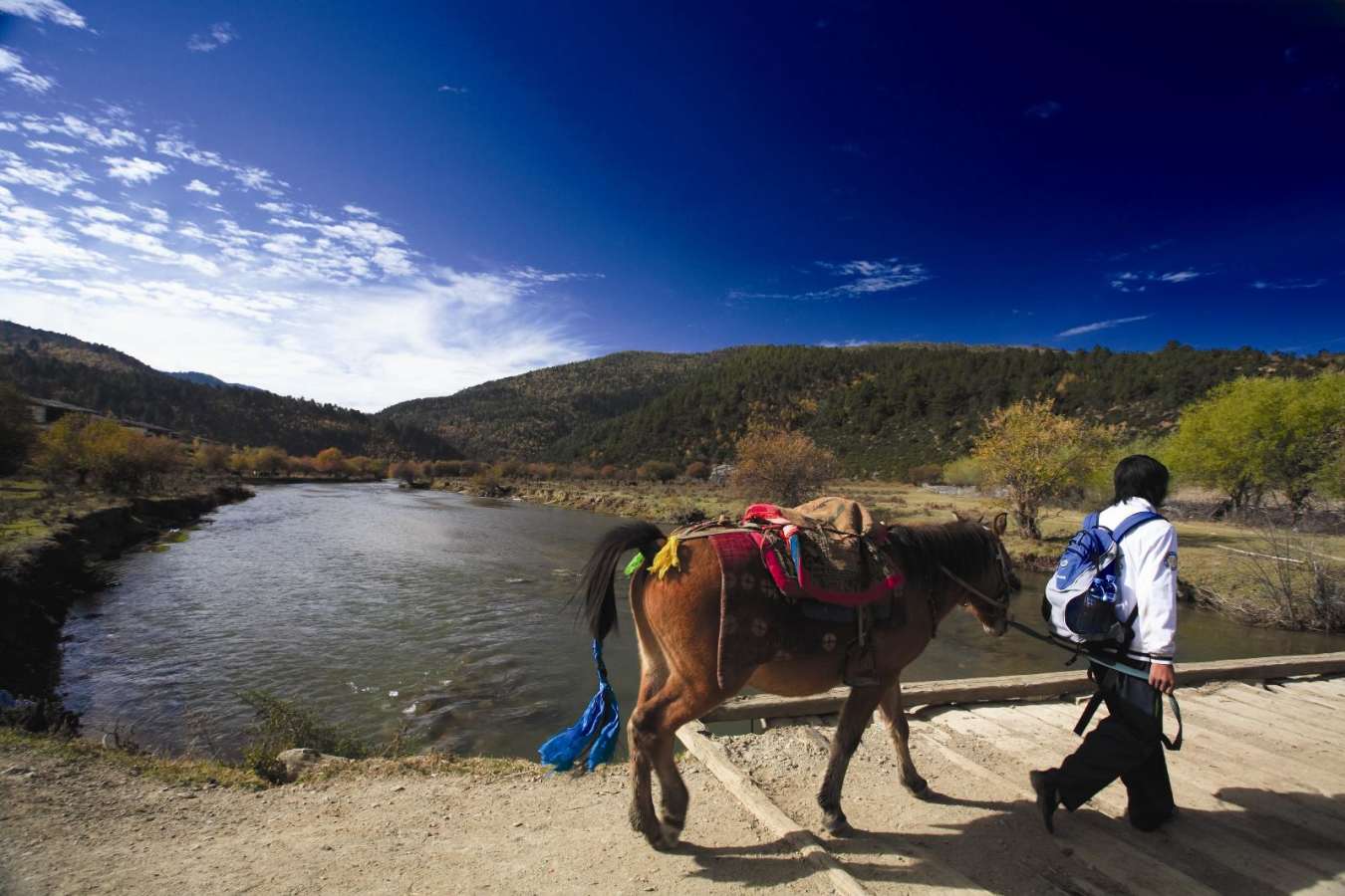 Trekking - Banyan Tree Ringha