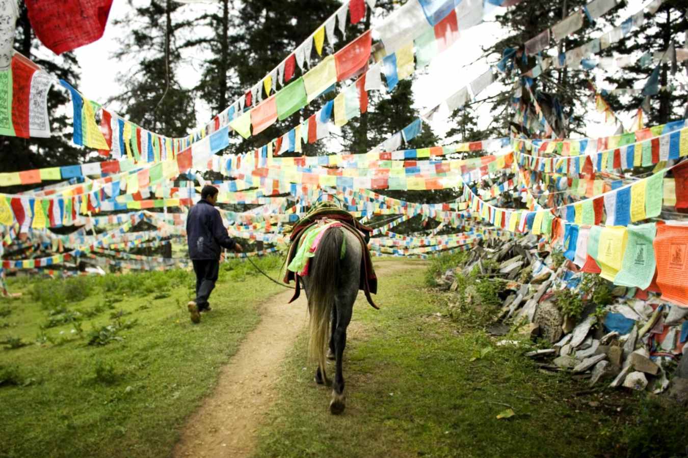 Prayer flags - Banyan Tree Ringha