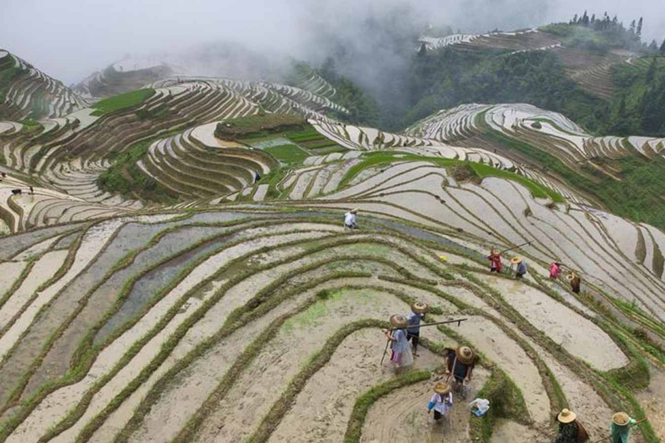 Li An Lodge   - Rice Terraces