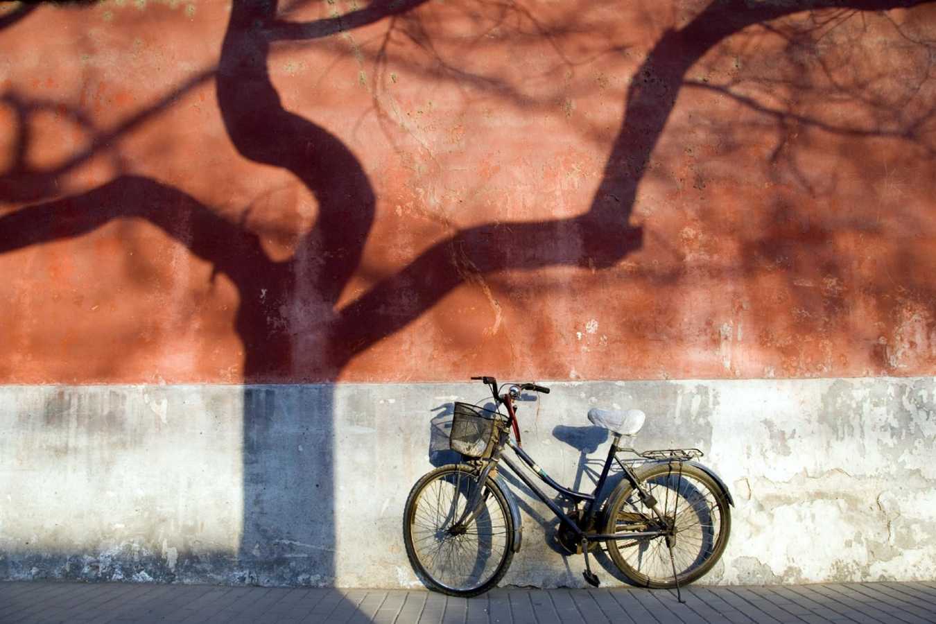 Bicycle in Beijing -
