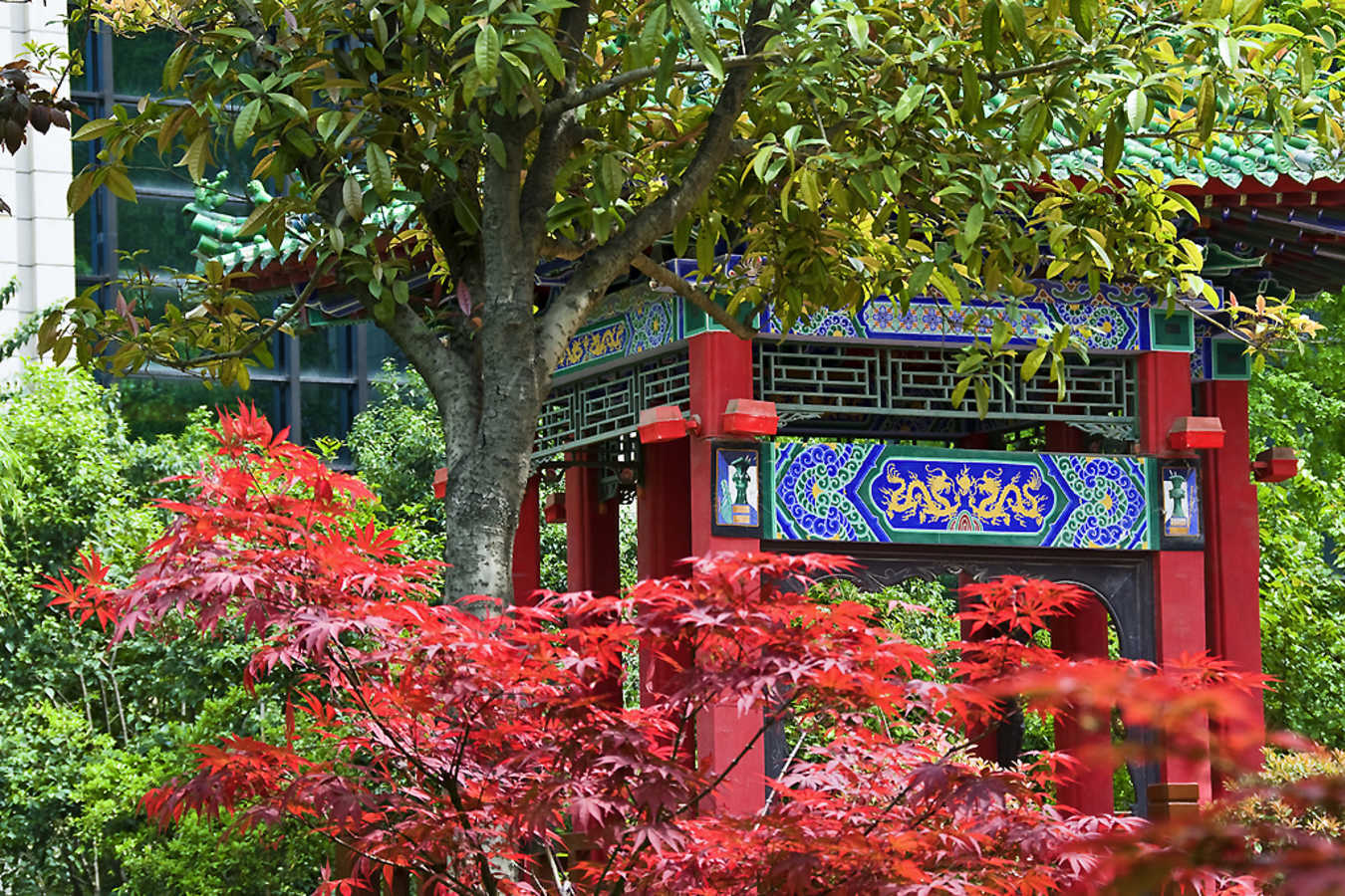Garden - Sofitel On Renmin Square
