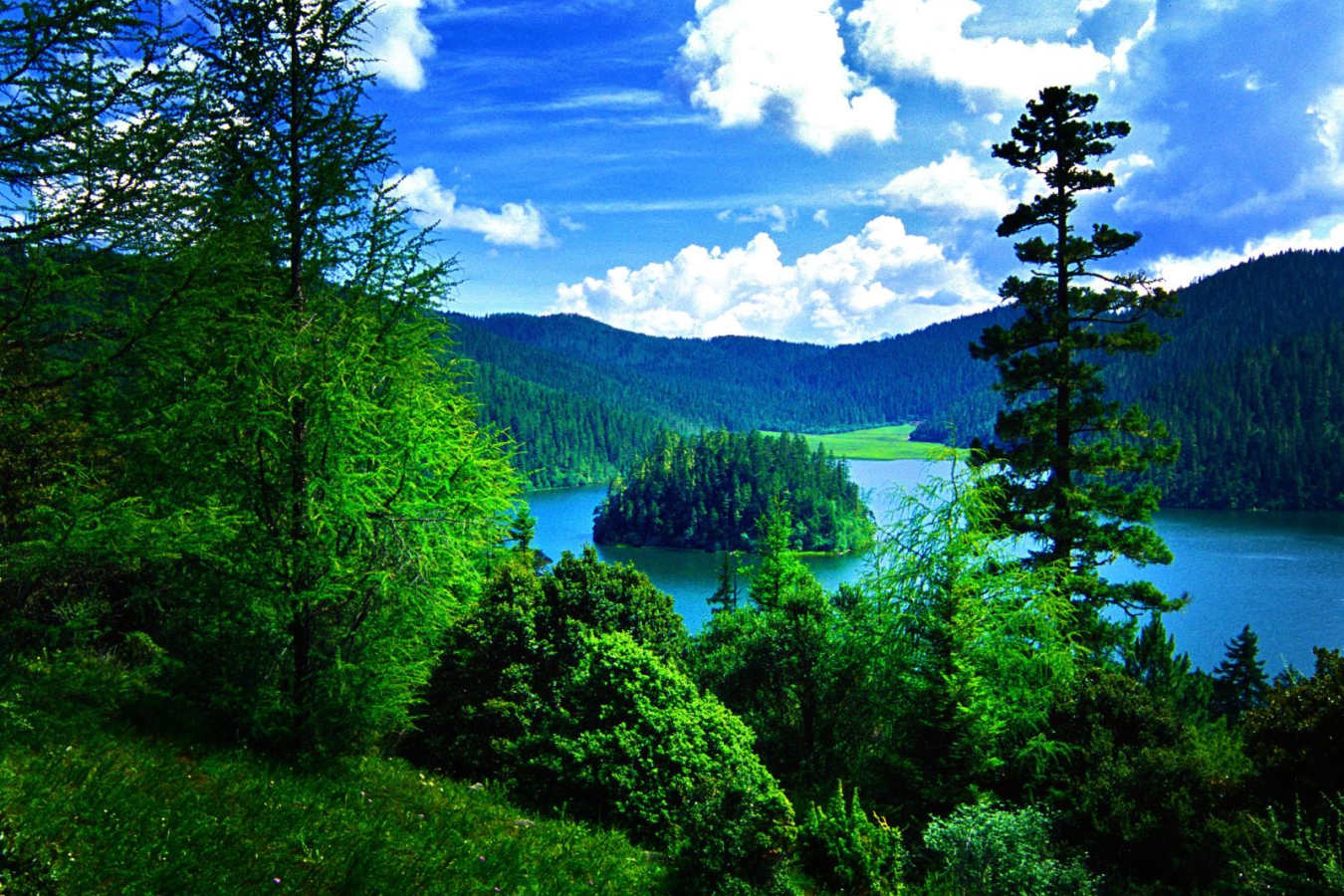 View  - Songtsam Retreat