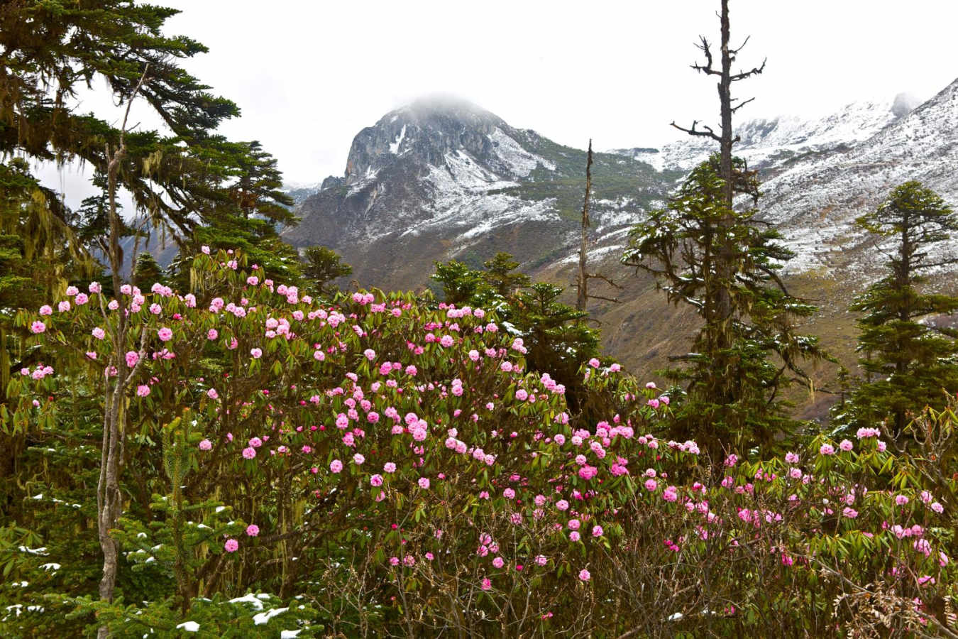 Winter  - Songtsam Retreat
