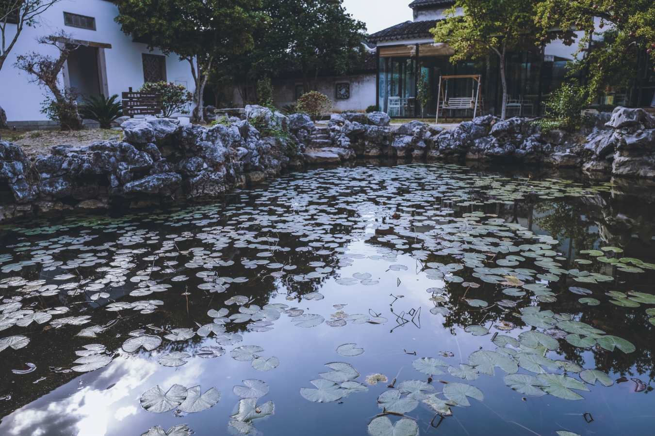 Chinese Pond 