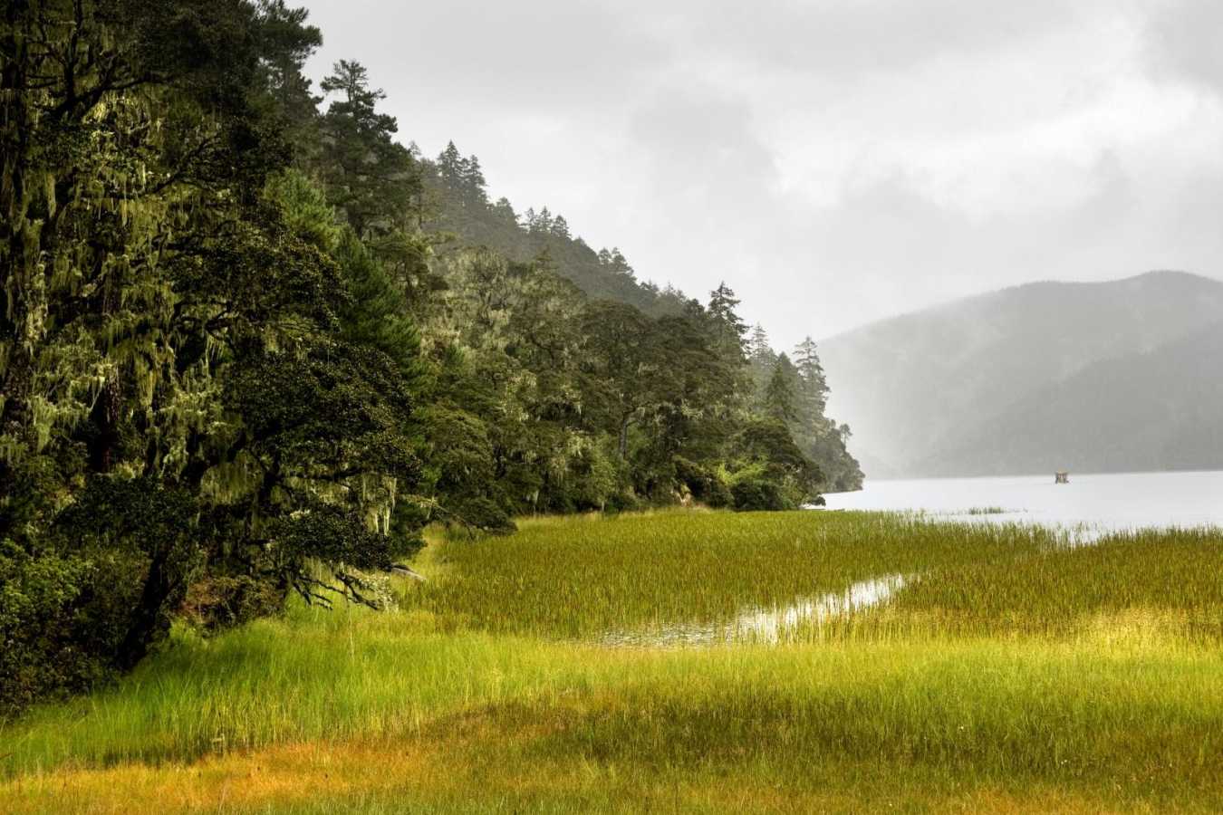 Bita Lake - Rural China