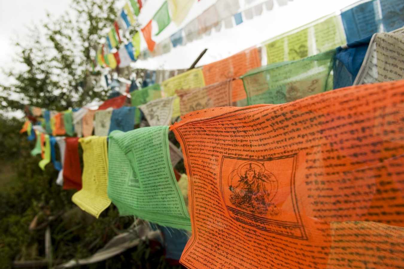 Prayer flags Shanghri La - Rural China
