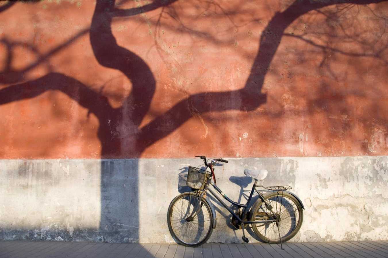 Cycling in Xian  - The Ultimate Family Adventure in China