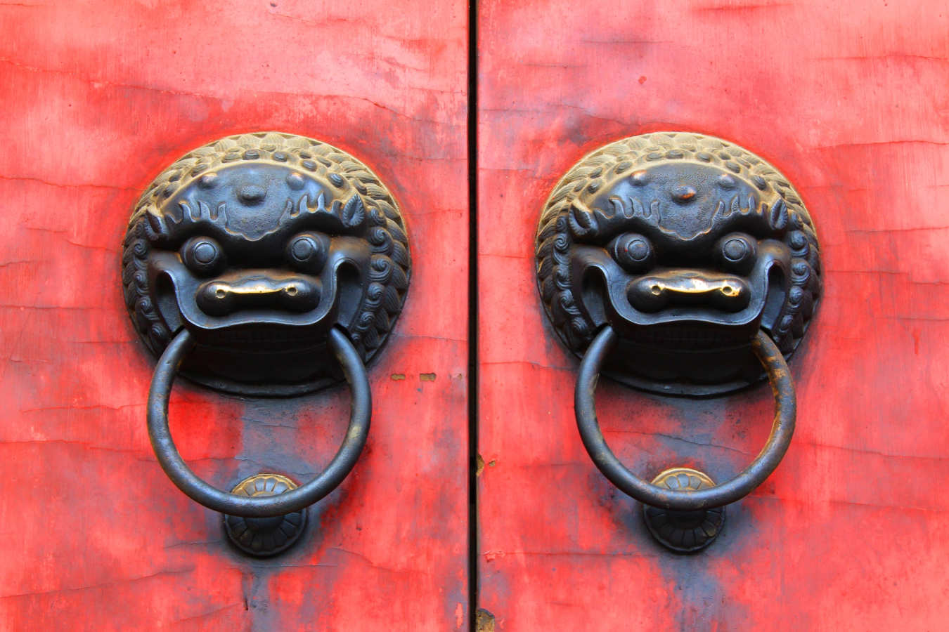 Lion Door in Shanghai  -