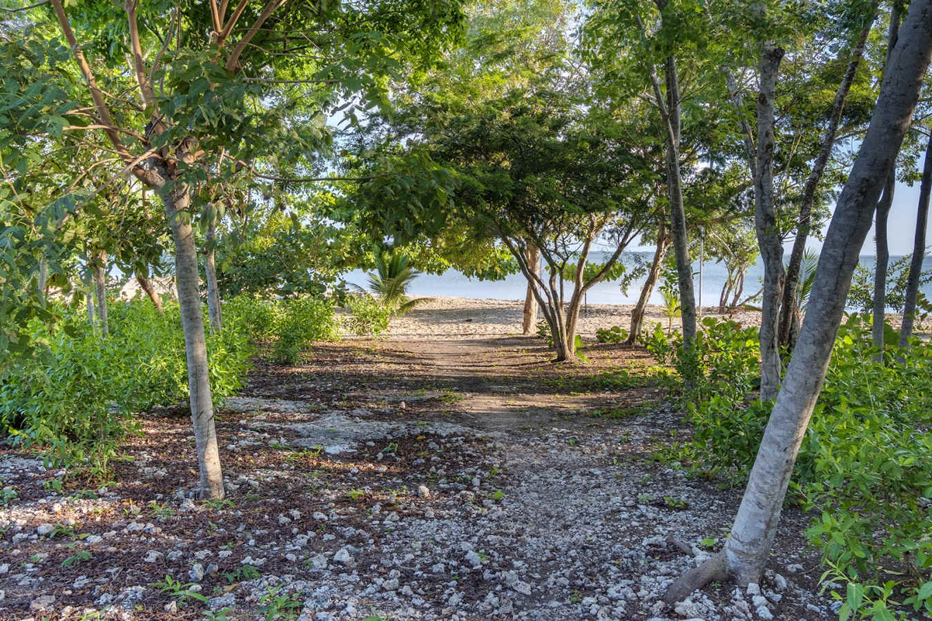 Beach Pathway - Casa Letty