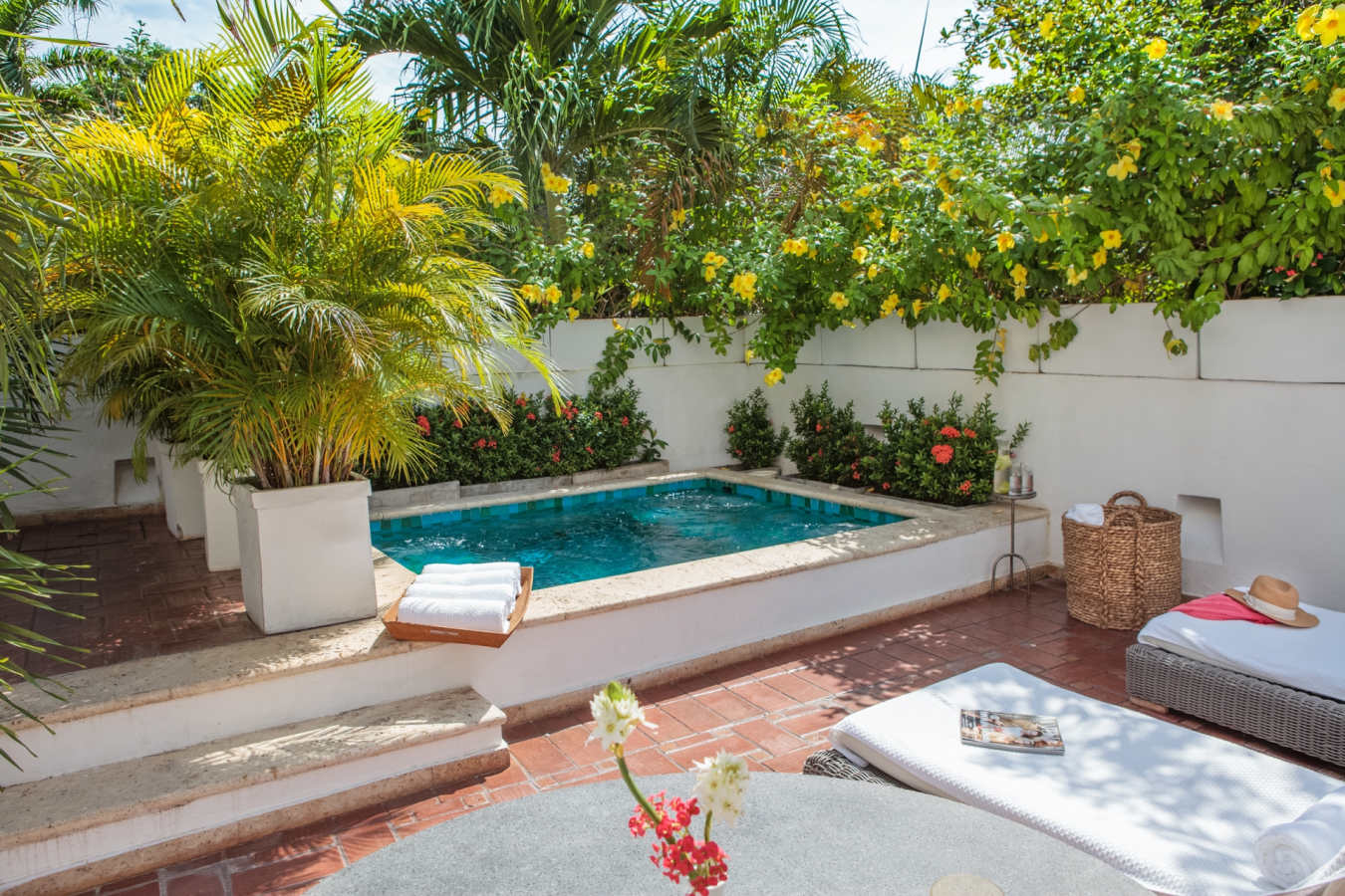 Plunge pool - Casa San Agustin