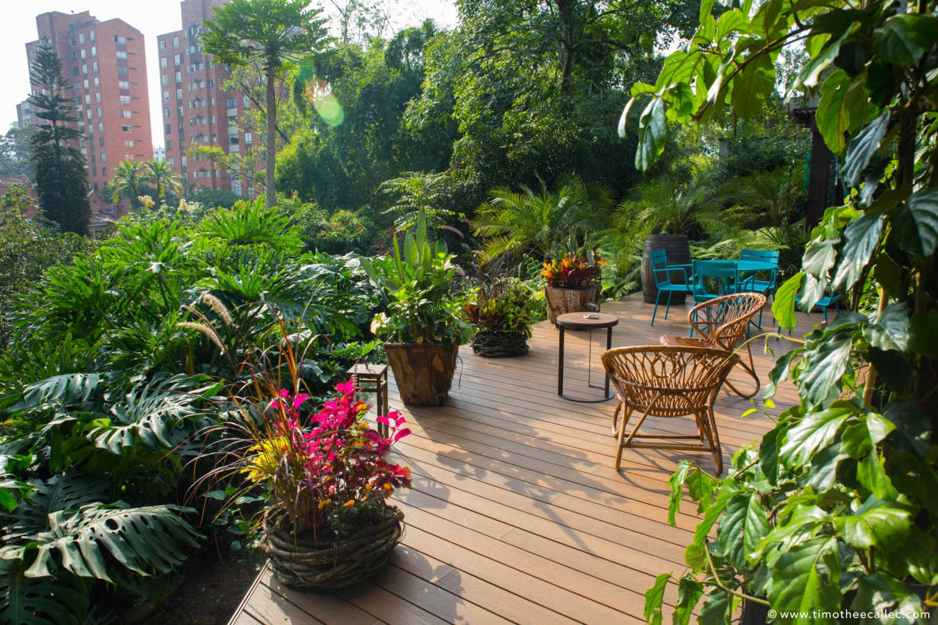 Terrace - Patio del Mundo