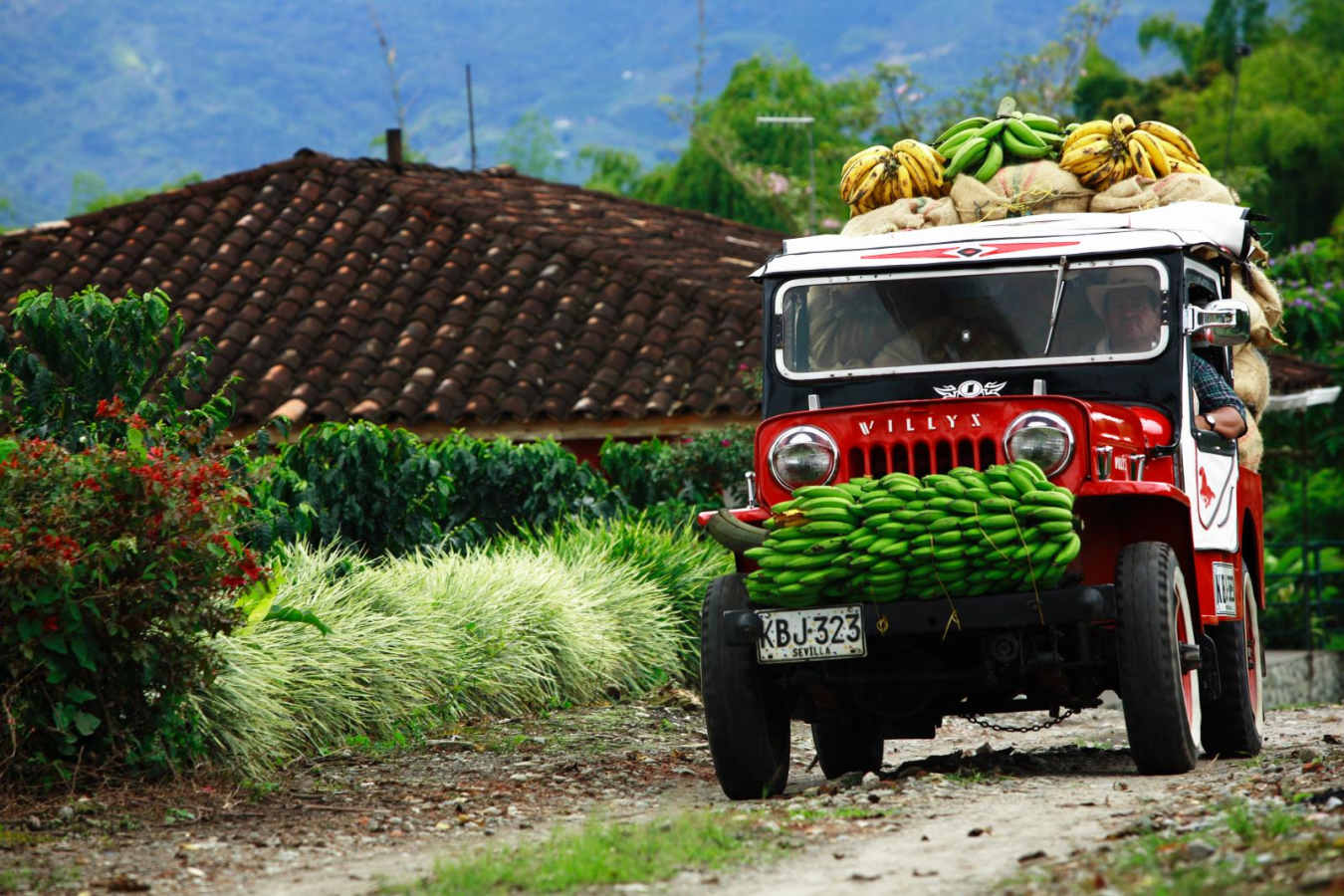 Truck carrying bananas - Original Colombia