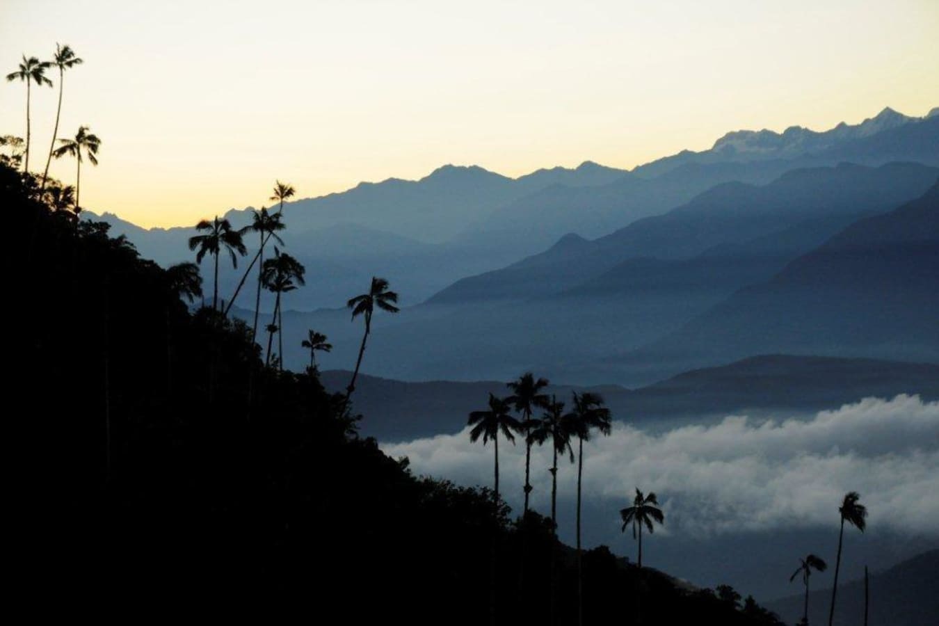 Sierra Nevada - Highlights of Colombia