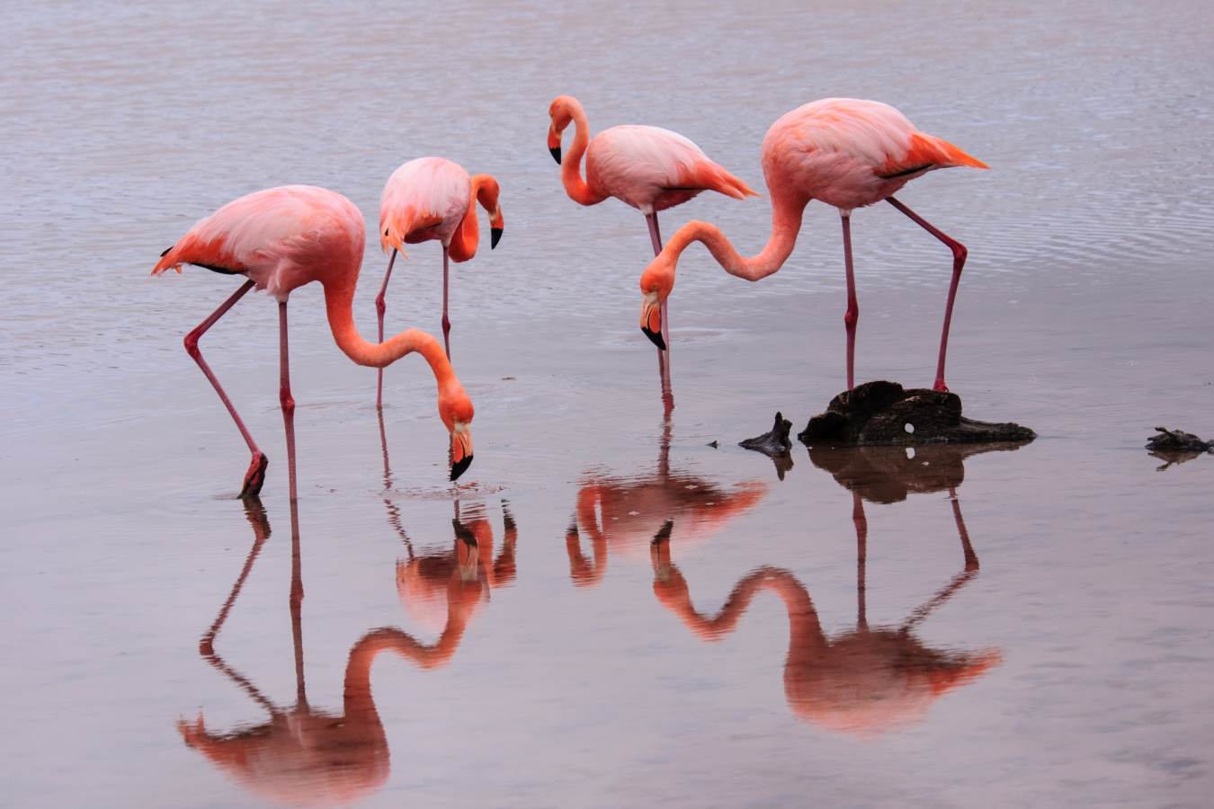 Ultimate Colombia and Galapagos