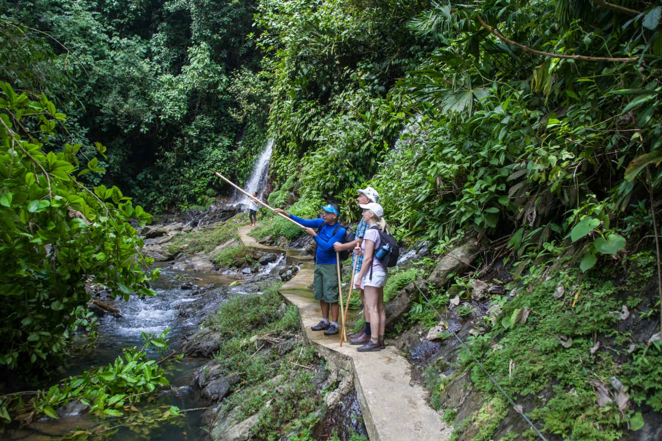 Rainforest walks - Arenas del Mar