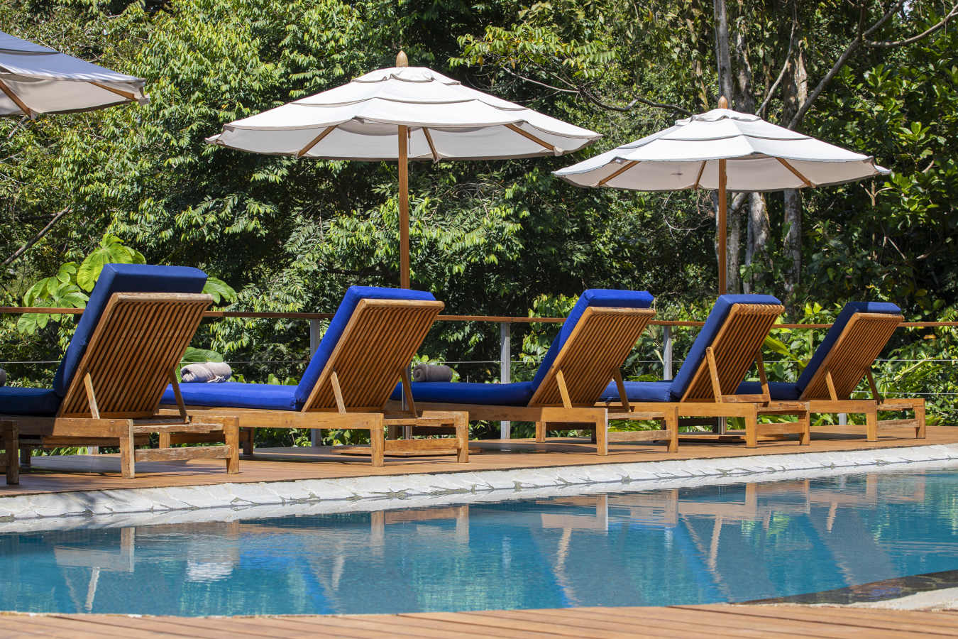 Pool  Sun loungers