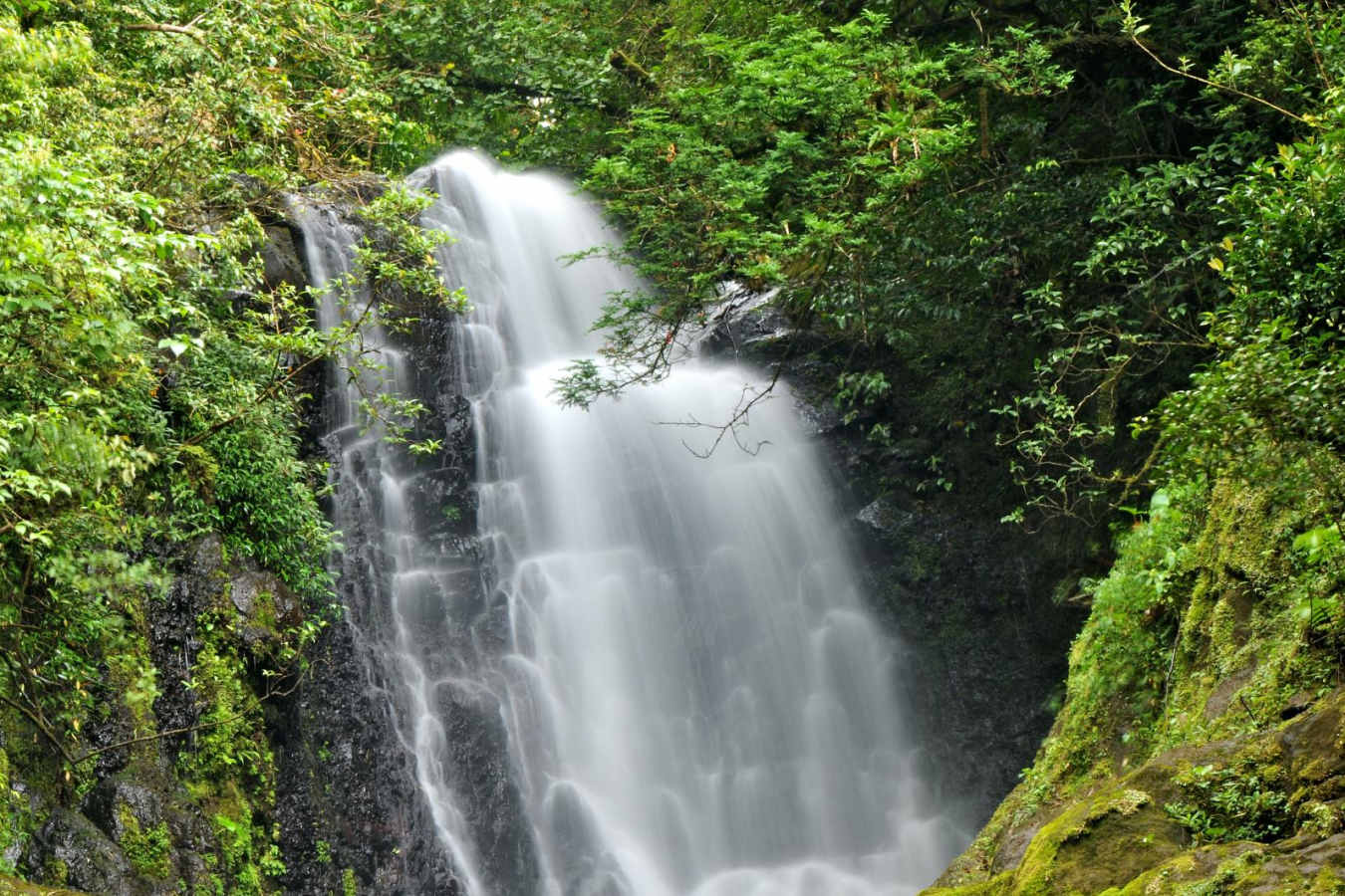 Waterfall near lodge - El Silencio Lodge