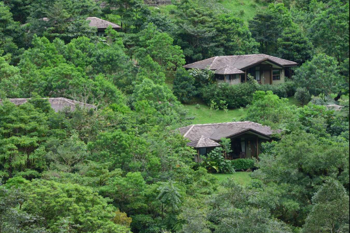 Suites - El Silencio Lodge