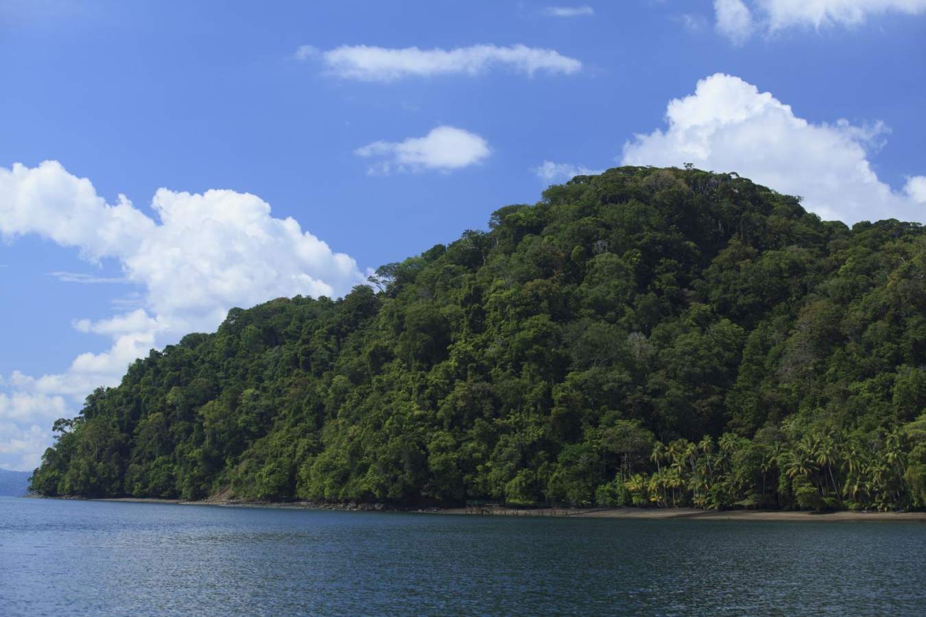 Beach - Playa Cativo