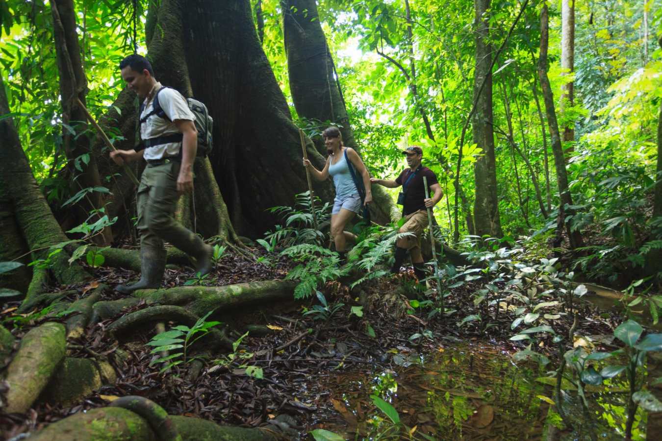 Jungle hike - Playa Cativo