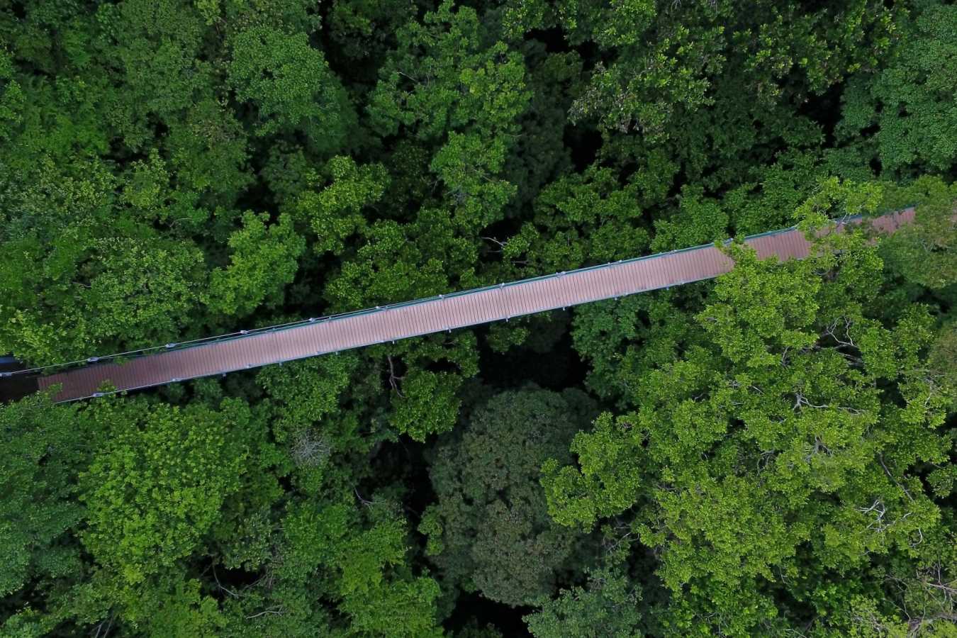 Rio Perdido Hotel - Aerial View of Bridge 