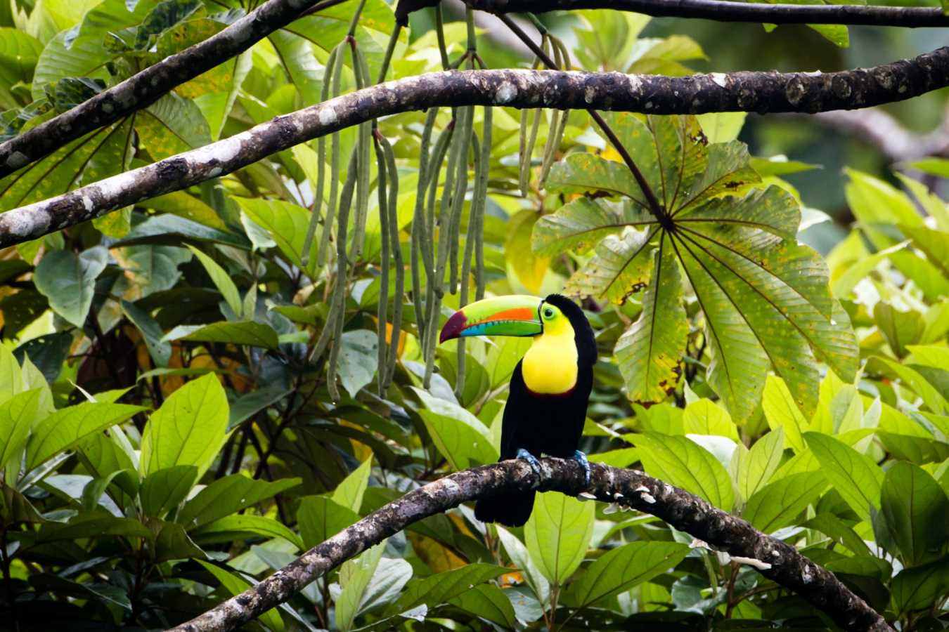 Costa Rica with Kids