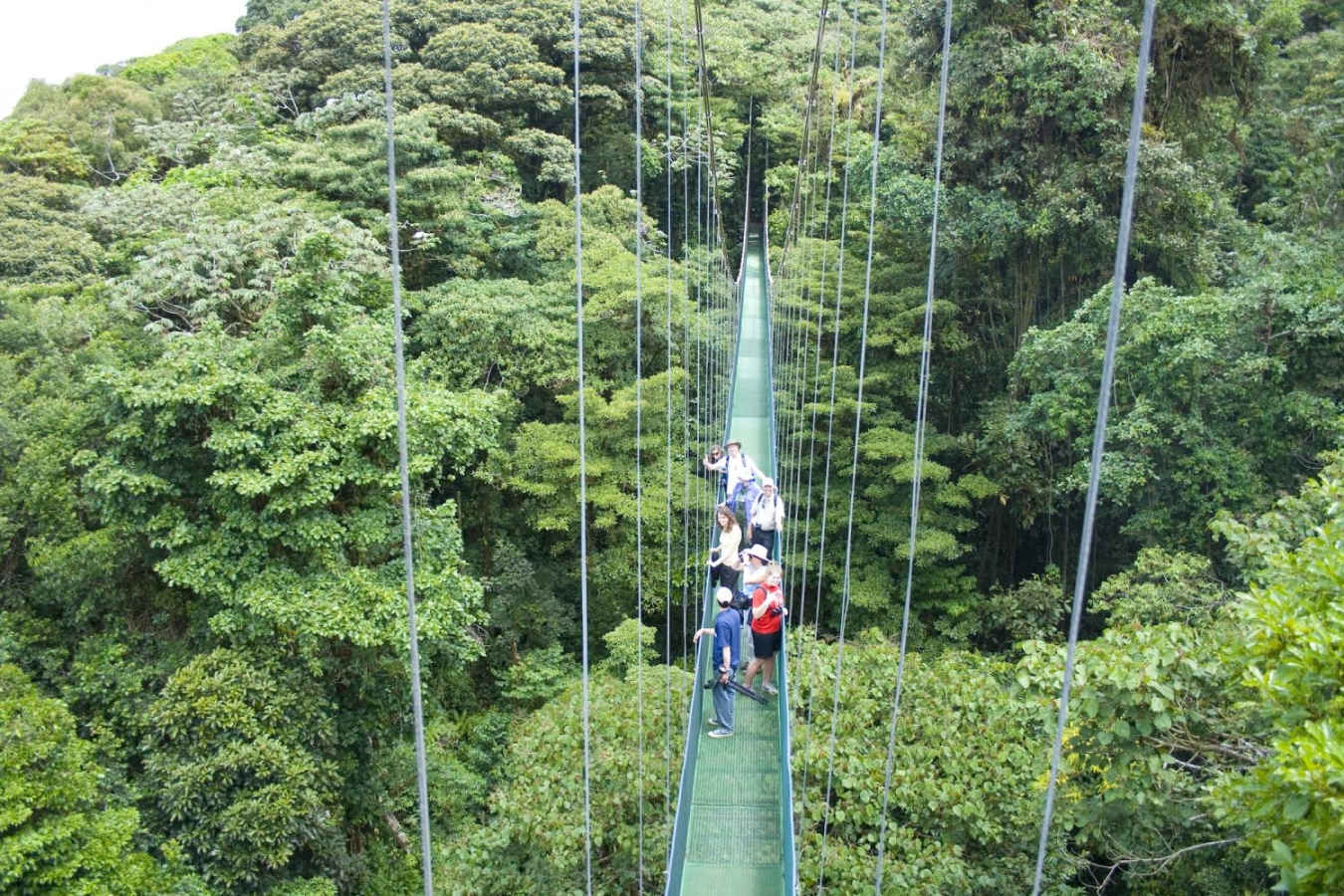 Sky Walk - Costa Rica for Teenagers