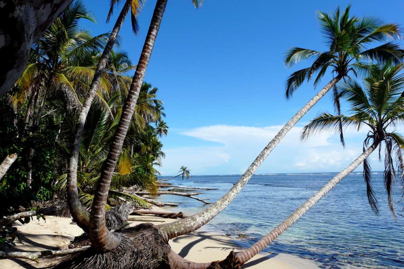 Manuel Antonio National Park - Wild Costa Rica